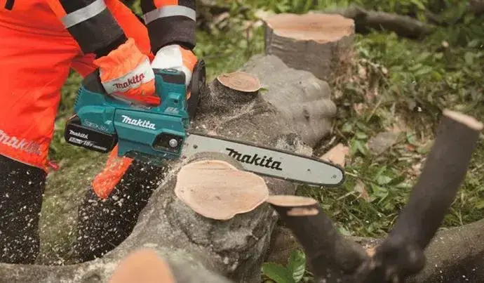 Location shampouineuse à Beaufort en Anjou